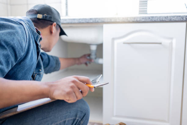 Best Plumbing Repair Near Me  in Linden, MI