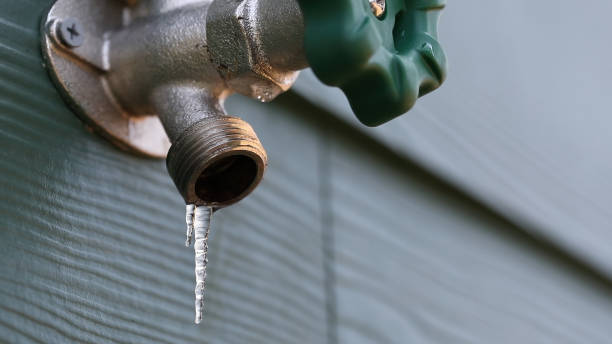 Best Leak Detection Services  in Linden, MI