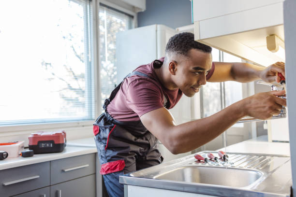 Best Emergency Plumbing Repair  in Linden, MI